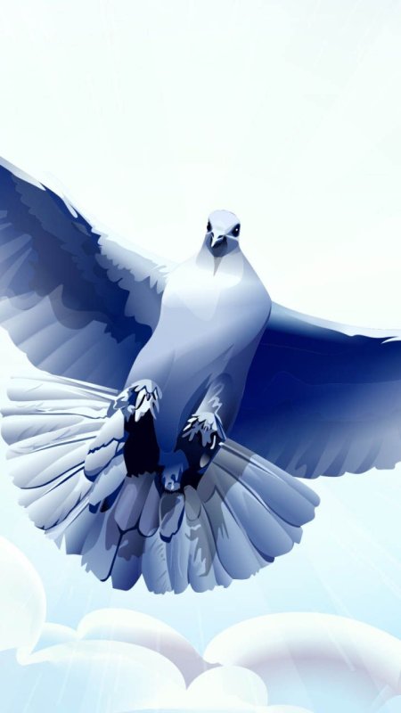 Голубь в полете