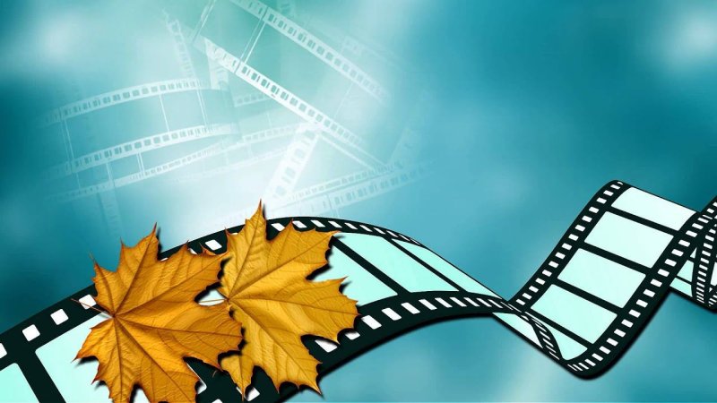 Школьный фон для фото