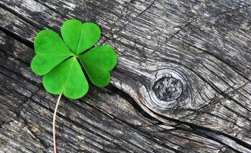 Четырёхлистный Клевер на удачу