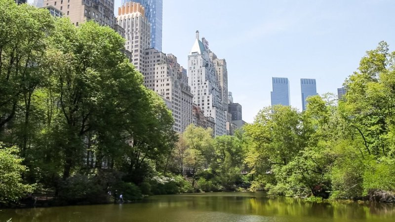 Нью Йорк централ парк обои