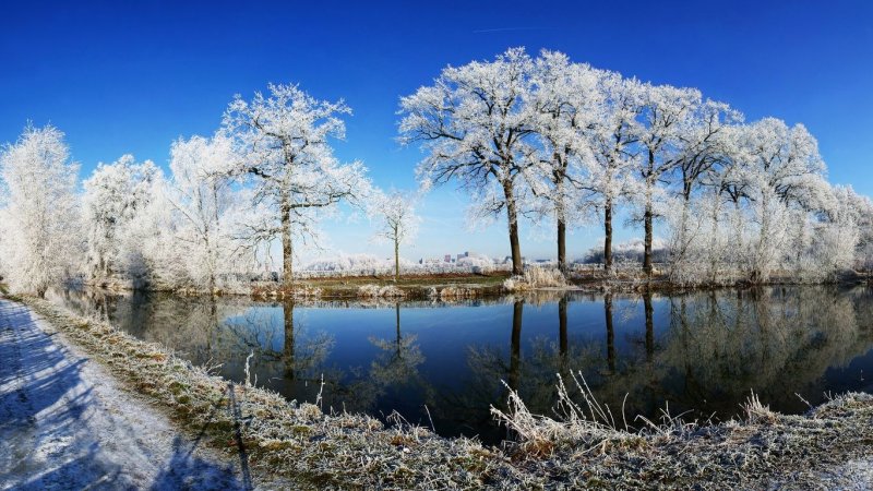 Поздняя Весна