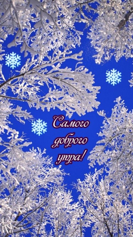 Красивая зима