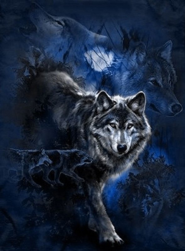 Обои на телефон волк