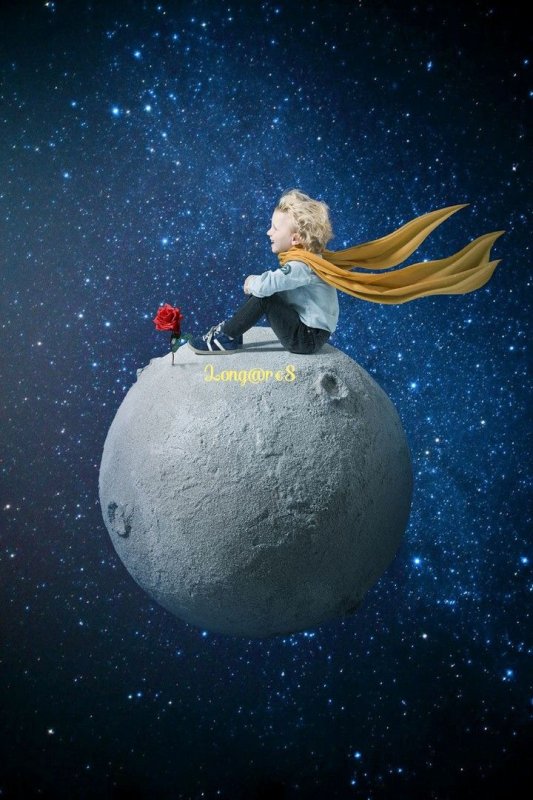 Маленький Принс Экзюпери