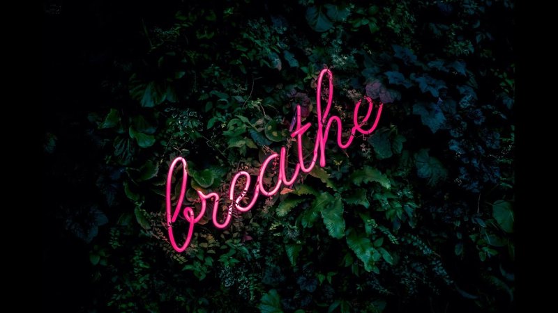 Обои с надписями