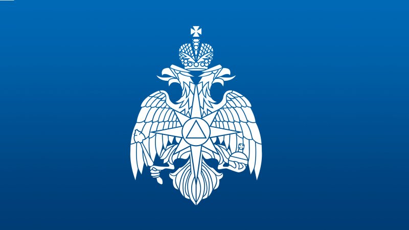 Эмблема МЧС России