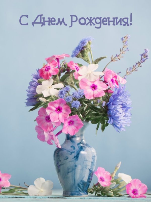 Флокс букетный