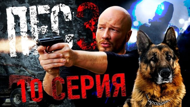 Пёс сериал 1 сезон 3 серия