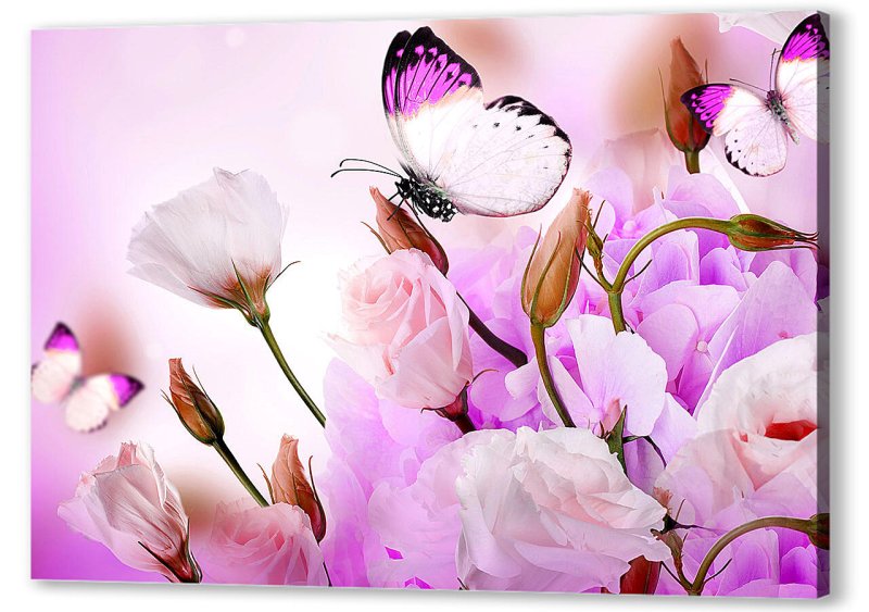 Баттерфляй Фловер