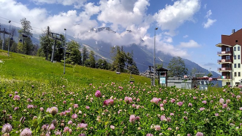 Красная Поляна роза Хутор горы