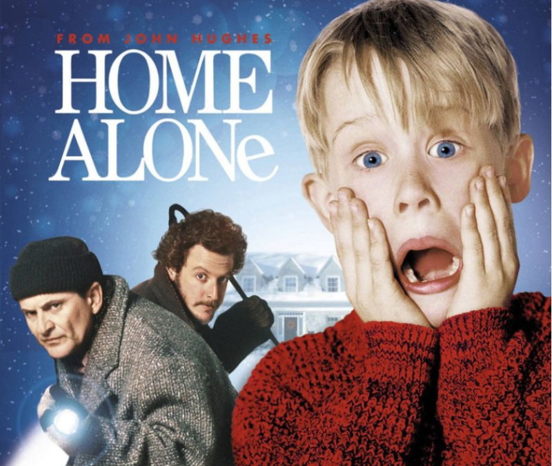 Один дома обложка фильма