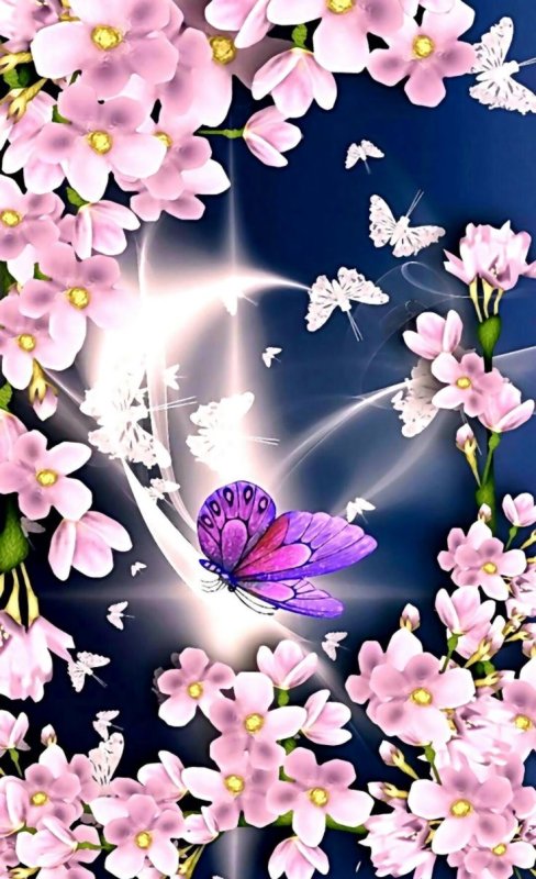 Красивые обои на телефон