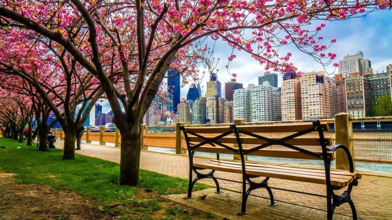 Централ парк Нью-Йорк весной