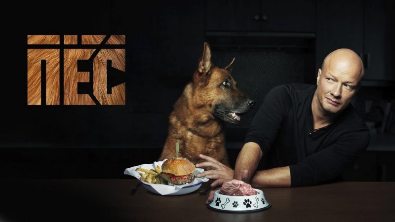 Никита Панфилов в сериале пес