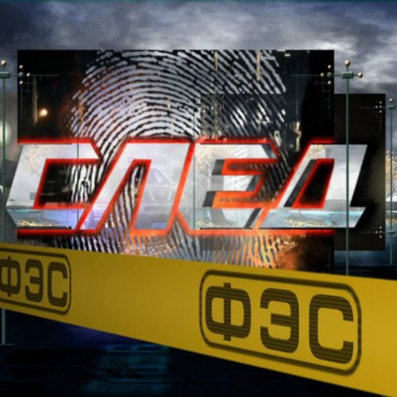 Федеральная экспертная служба логотип