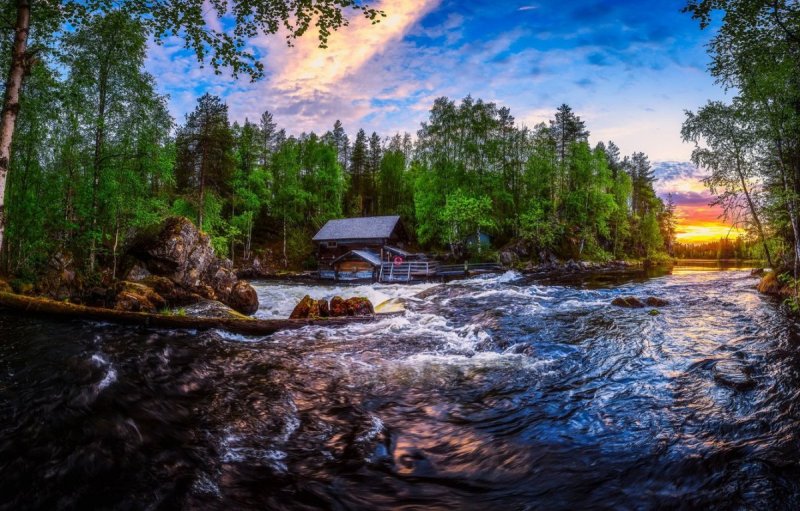 Тайга Северная Карелия
