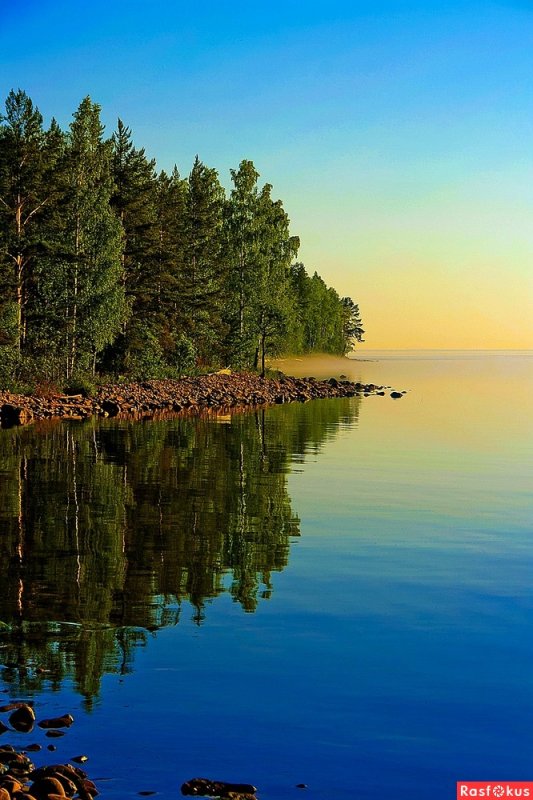 Ладога озеро Лесное