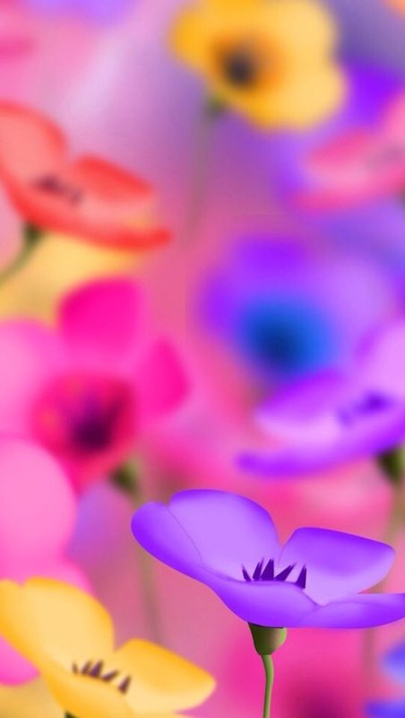 Яркие цветы