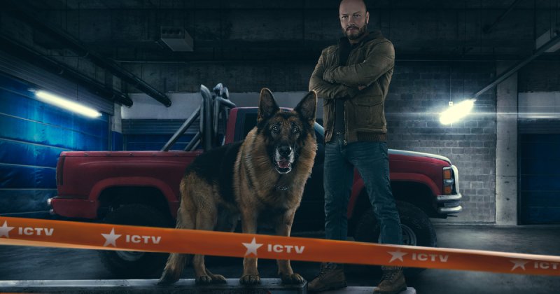 Сериал пёс 7 сезон