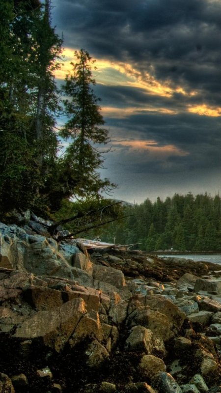 Обои на телефон природа