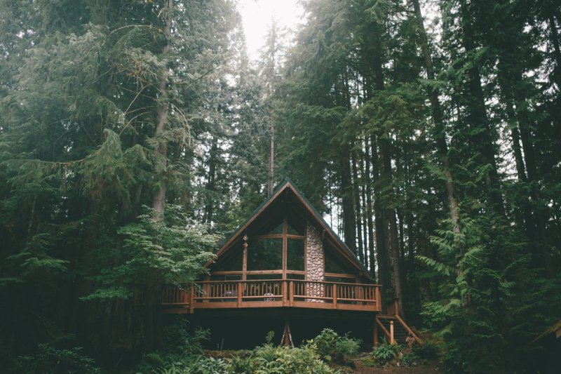 Forest House Хижина в лесу