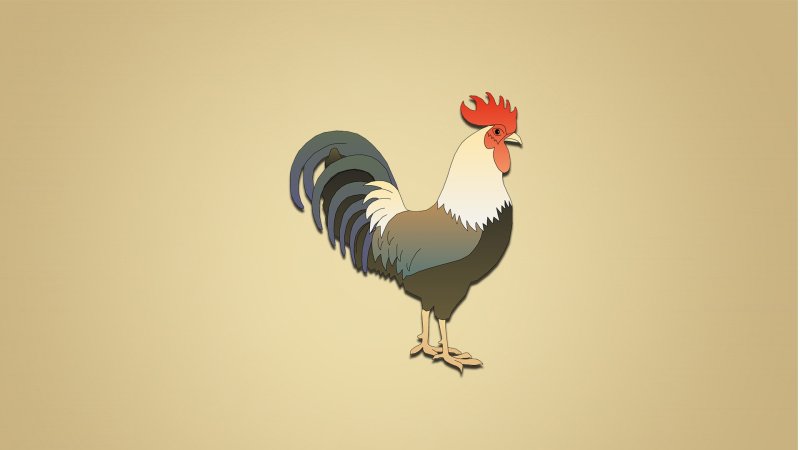 Курица и петух