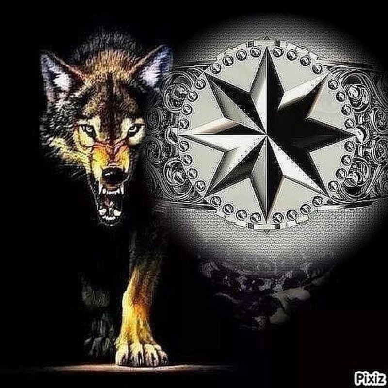 Блатной волк