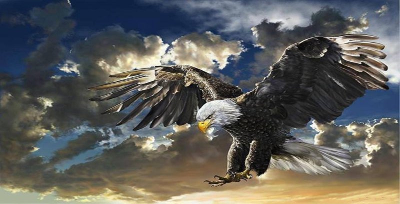 Заставка на рабочий стол Орел