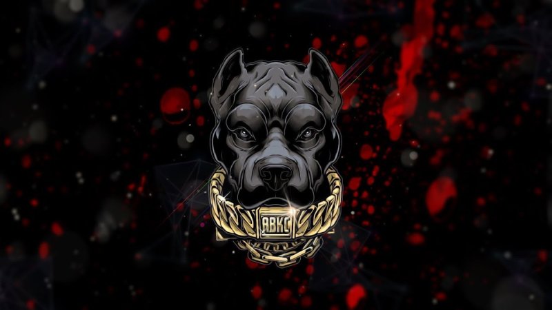 Питбуль Синдикат