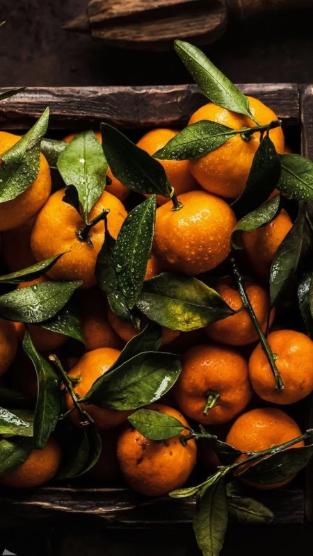 Мандарин (фрукт)