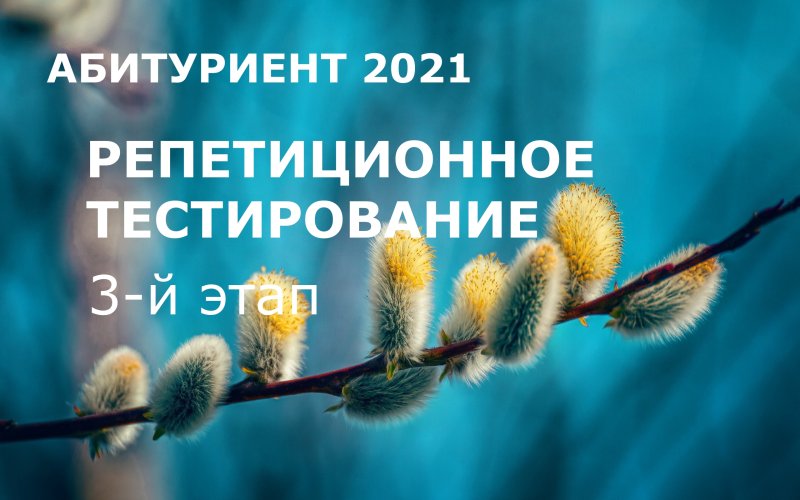 Весна Верба