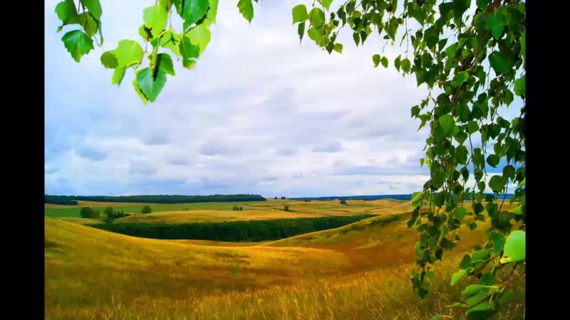 Родные просторы Пушгоры панорама