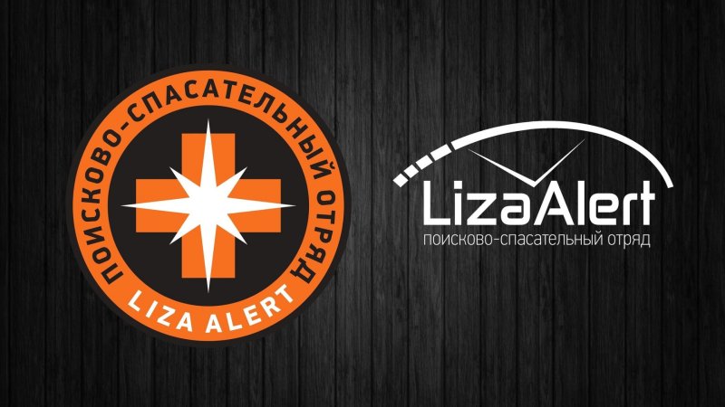 Поисковый отряд Лиза Алерт Кострома