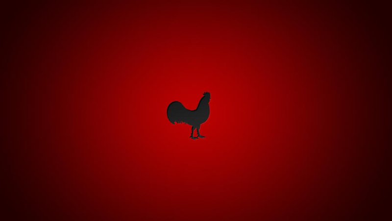 Обои на телефон петух