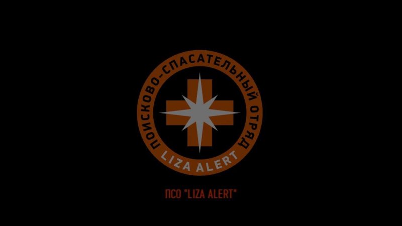 Поисковый отряд Лиза Алерт Шеврон