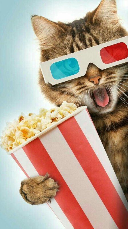 С днём рождения Казбек