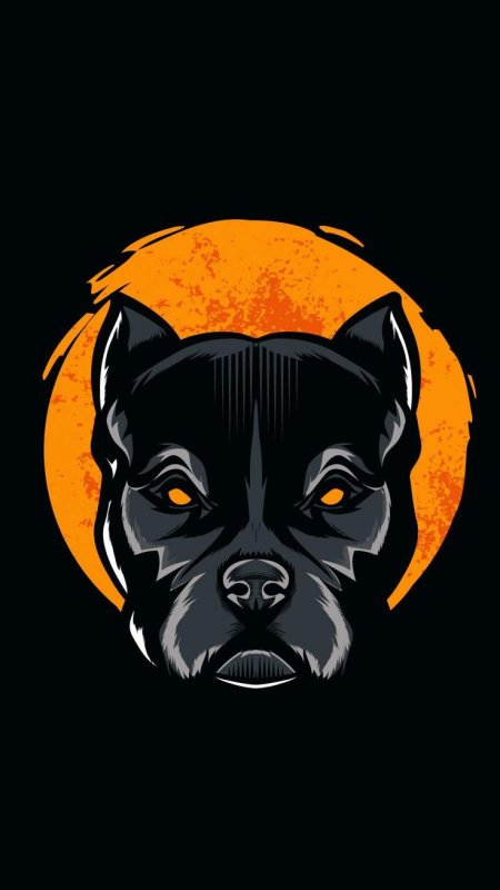 Заставка на телефон питбуля