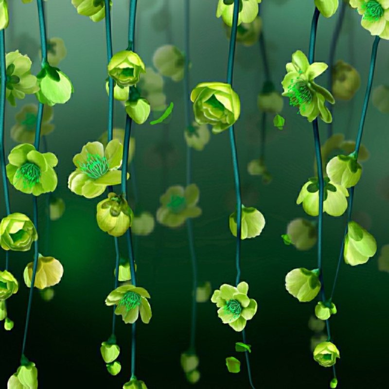 Зеленые цветы