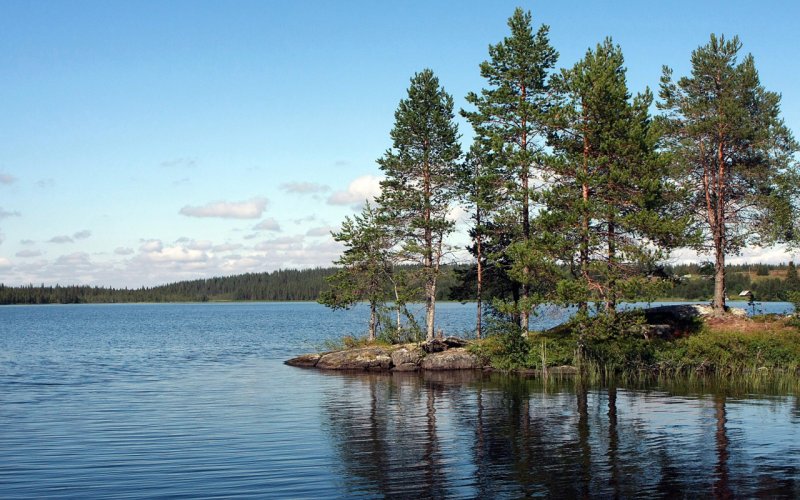 Озеро малая Ладога Рощино