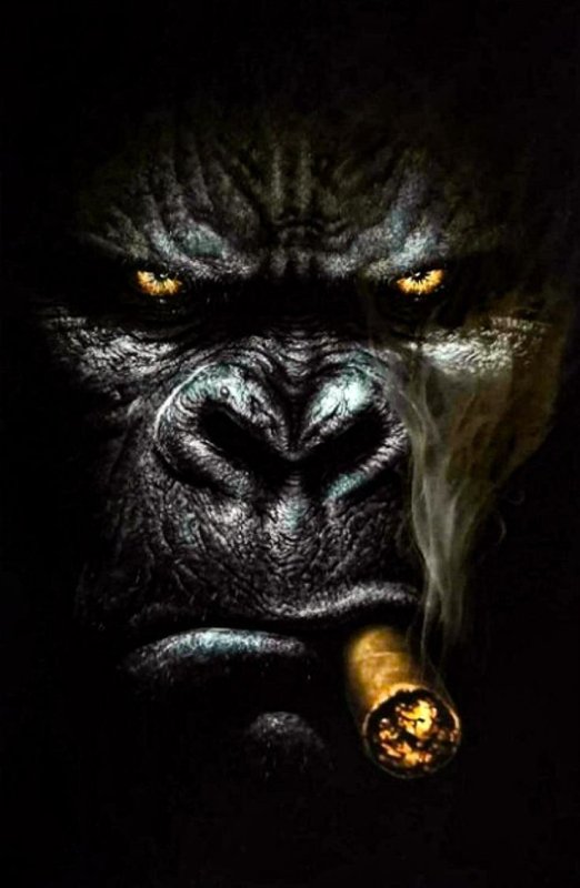 Горилла с сигарой