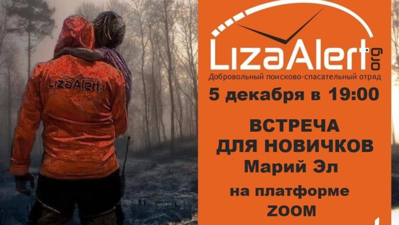 Добровольческий поисково-спасательный отряд Лиза Алерт