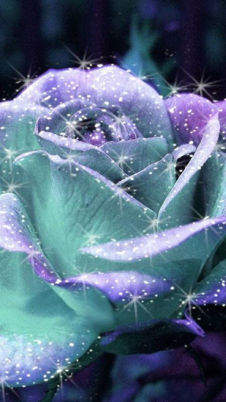 Красивые блестящие цветы