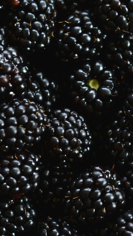 Темные ягоды