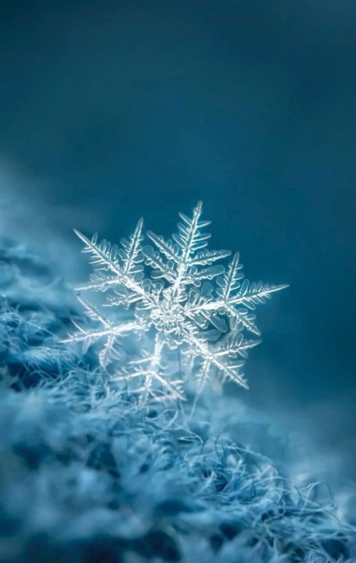 Зима снежинки