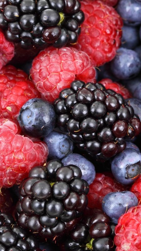 Обои ягоды