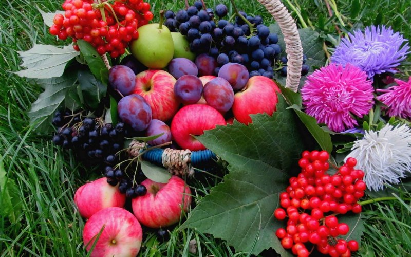 Осенние фрукты и ягоды