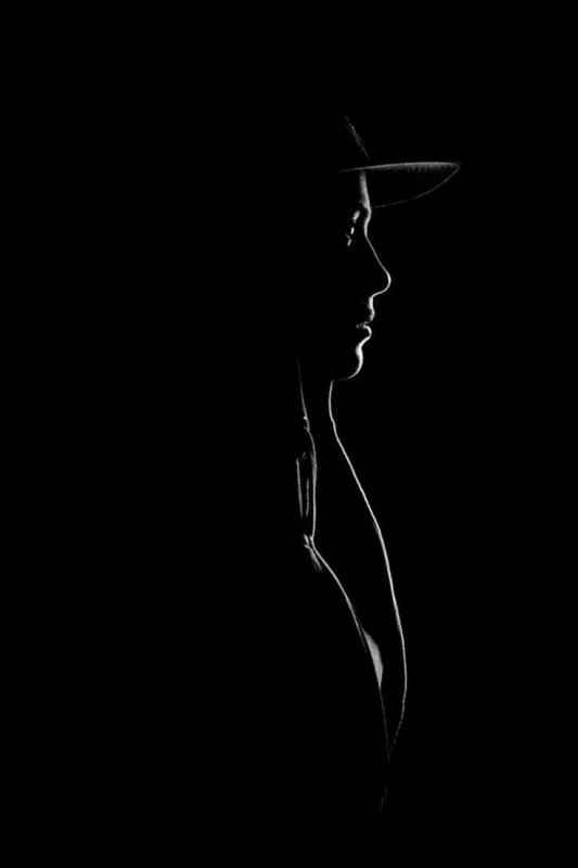 "женские силуэты"