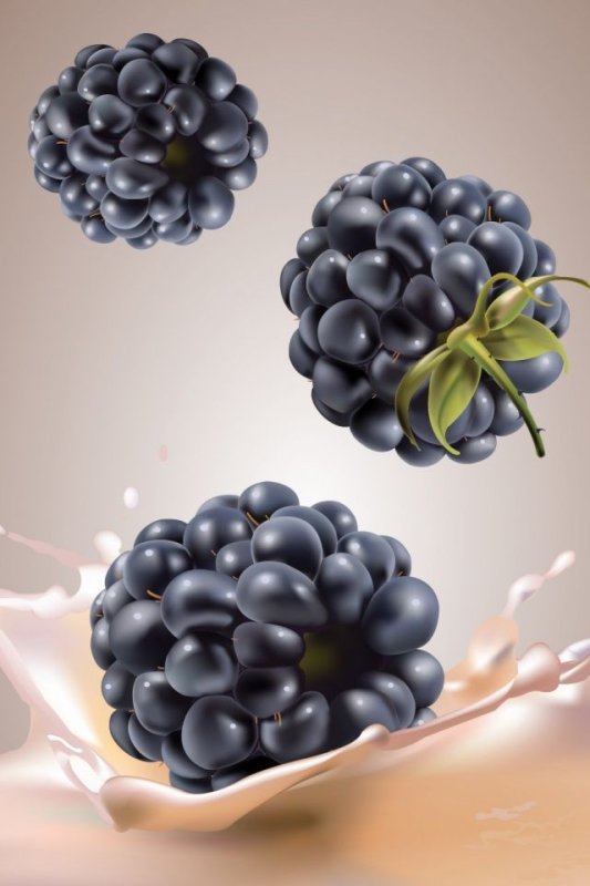 Ежевика на заставку