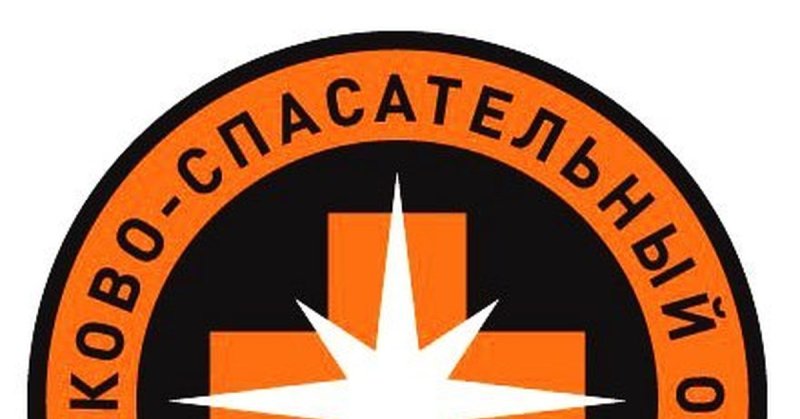 Поисковый отряд Лиза Алерт Шеврон