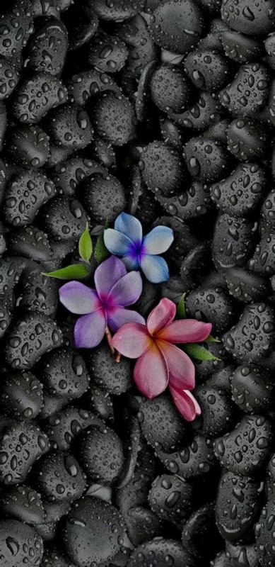 Фон на телефон красивые